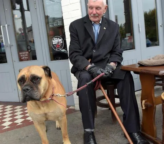 Apartamento The Dublín